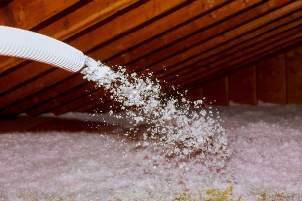 Best Types of Insulation in Sa Conejo, CA