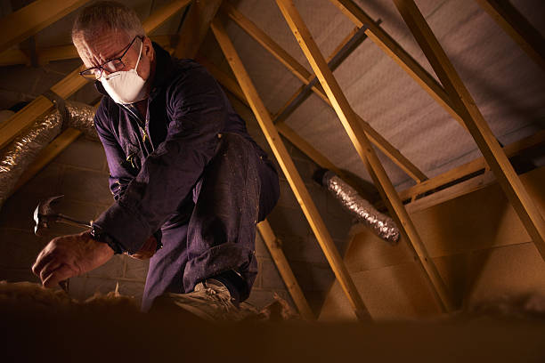 Best Specialty Insulation in Sa Conejo, CA